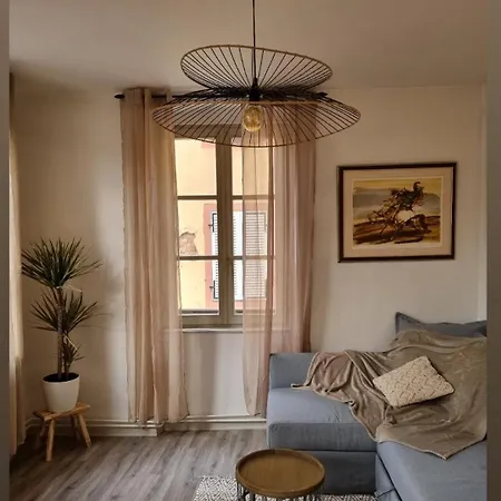 Cosy Centre-ville Sauge Apartment Sélestat